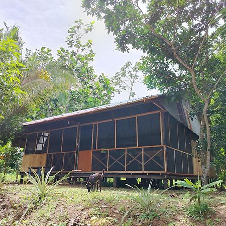 Don Jaime - Hostel Puerto Maldonado Eksteriør bilde